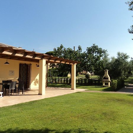 Agriturismo Dallolivo Bolgheri Zewnętrze zdjęcie