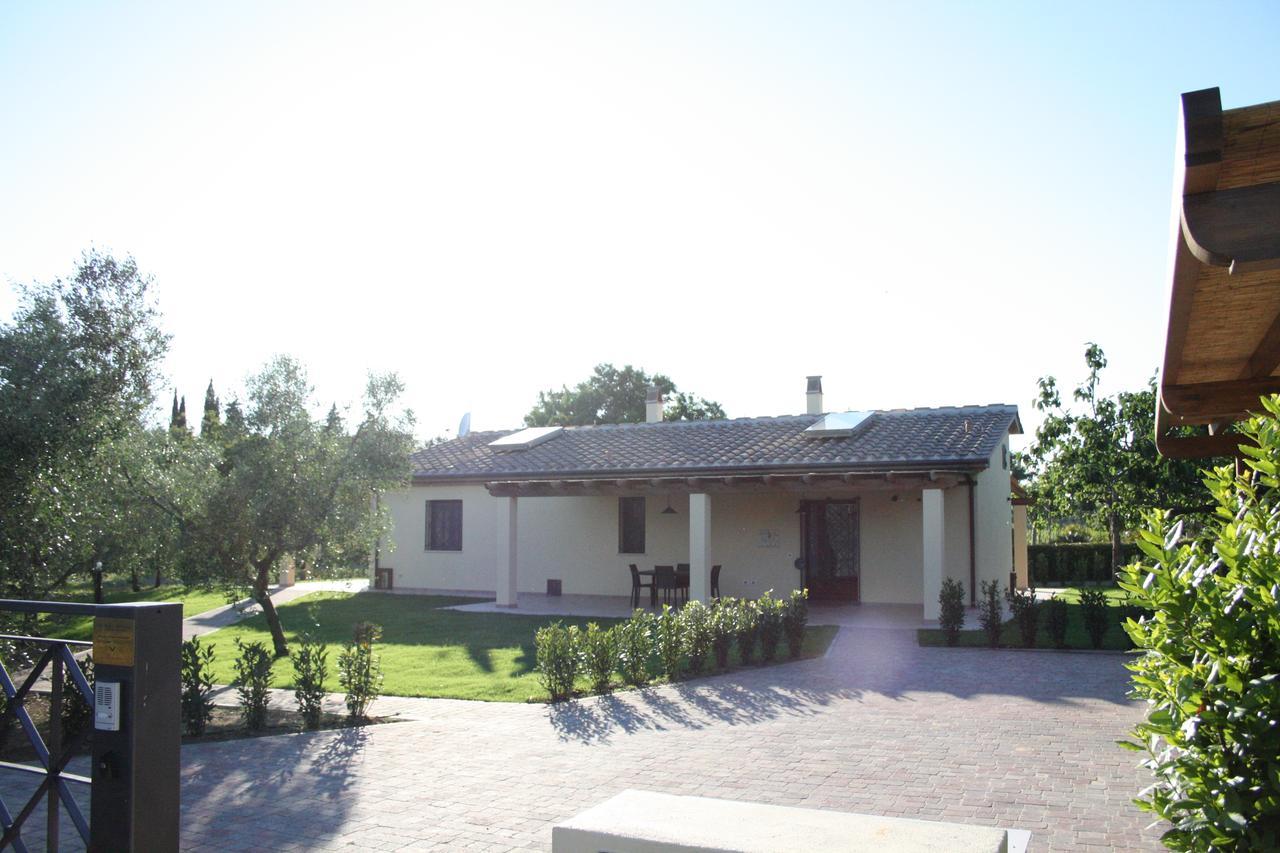 Agriturismo Dallolivo Bolgheri Zewnętrze zdjęcie