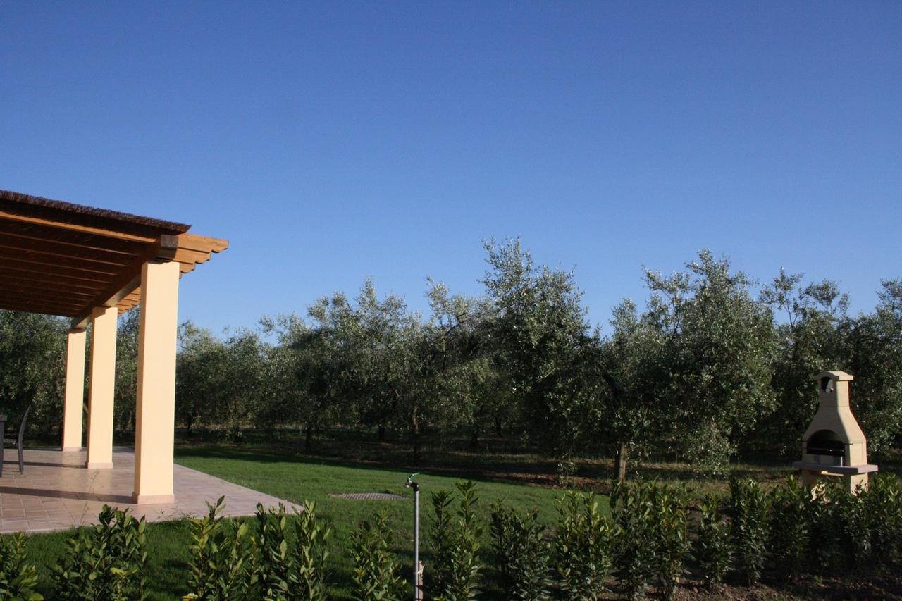 Agriturismo Dallolivo Bolgheri Zewnętrze zdjęcie
