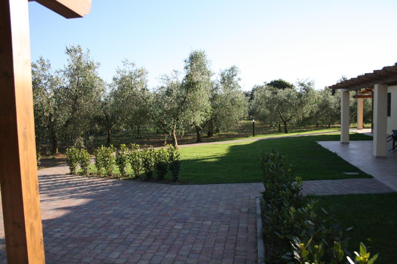 Agriturismo Dallolivo Bolgheri Zewnętrze zdjęcie