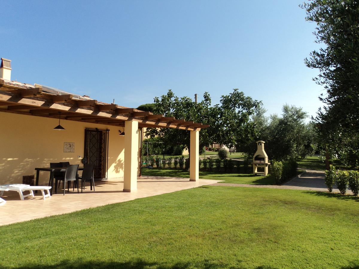 Agriturismo Dallolivo Bolgheri Zewnętrze zdjęcie