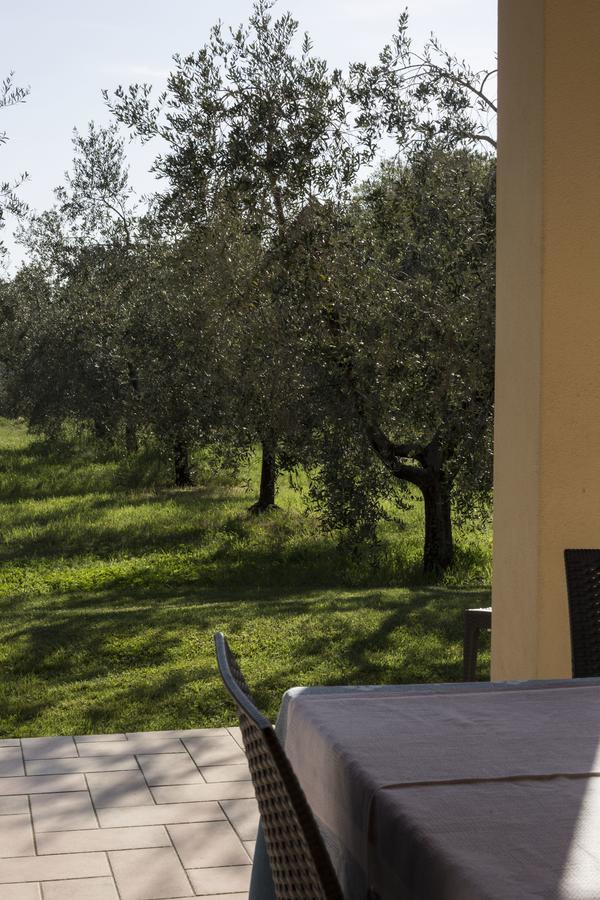 Agriturismo Dallolivo Bolgheri Zewnętrze zdjęcie