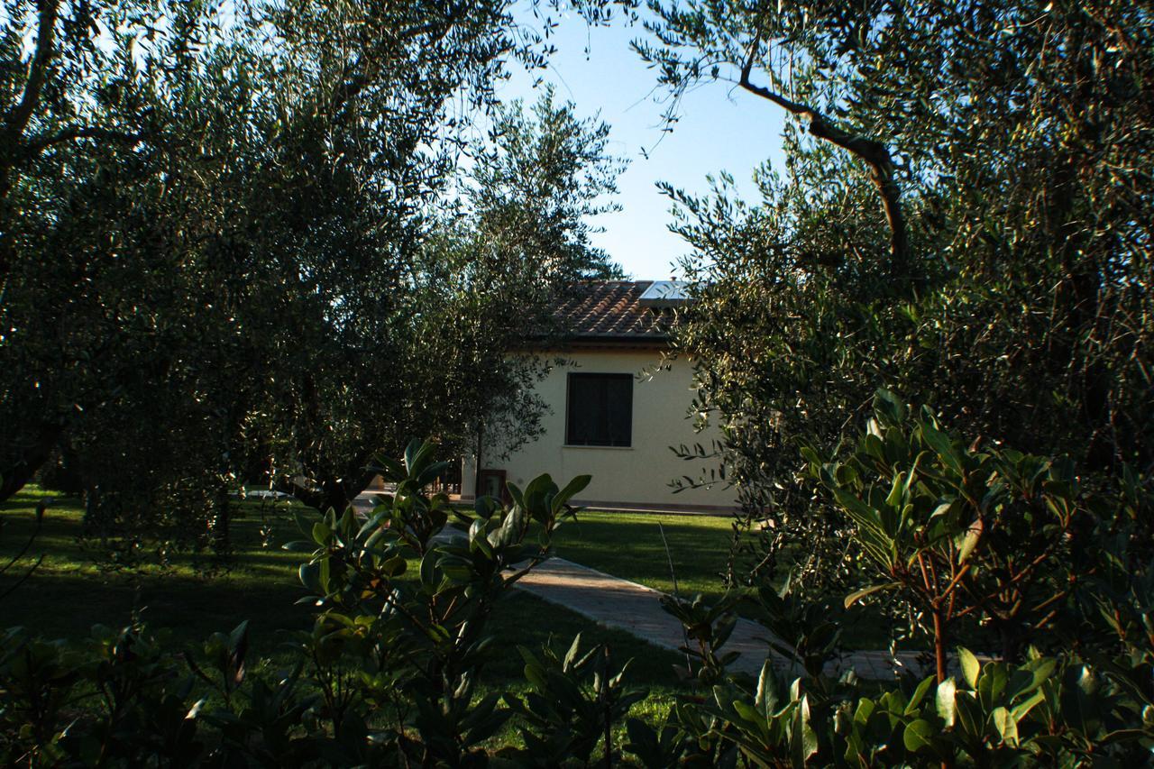 Agriturismo Dallolivo Bolgheri Zewnętrze zdjęcie