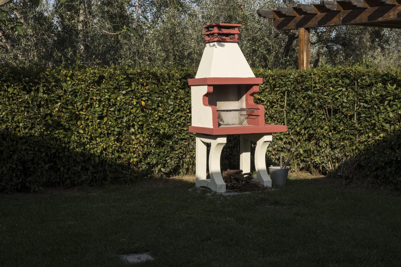 Agriturismo Dallolivo Bolgheri Zewnętrze zdjęcie